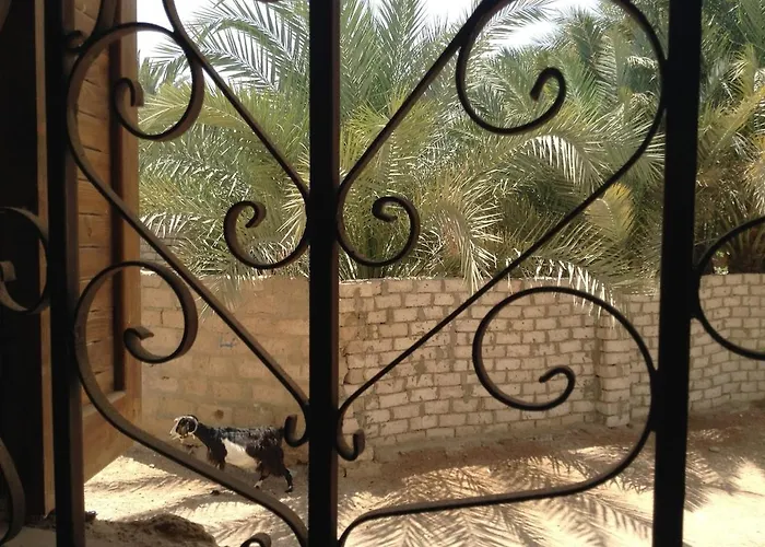 Budget Artistic Corner -beach Side And * Dahab